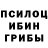 Псилоцибиновые грибы Psilocybe angelia sari