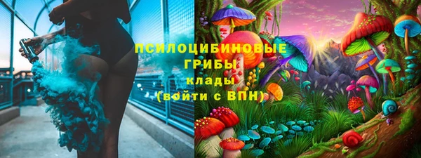 не бодяженный Нязепетровск