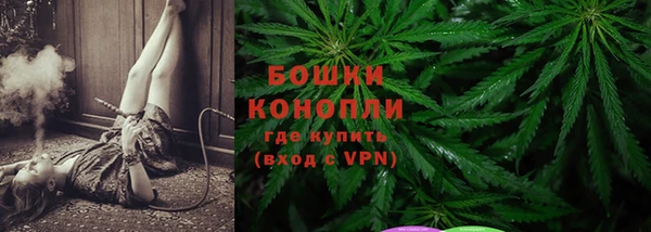 прущий лед Новозыбков