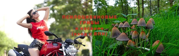 не бодяженный Нязепетровск