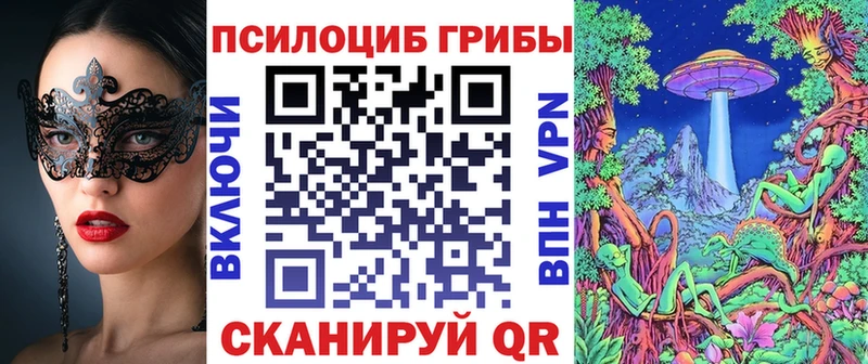 Псилоцибиновые грибы Cubensis  хочу наркоту  Агидель 